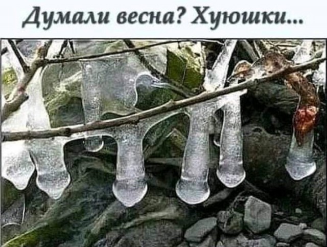 Так себе картинки 16.02.21