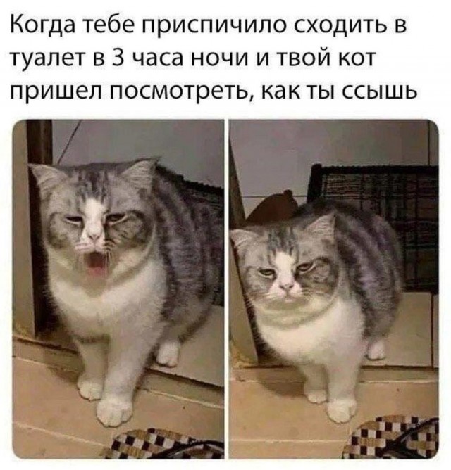 Весёлый полтишок 8.03