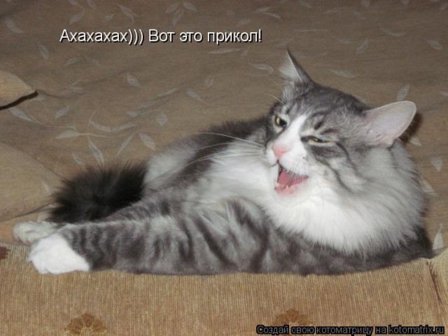 Сбывшееся предсказание