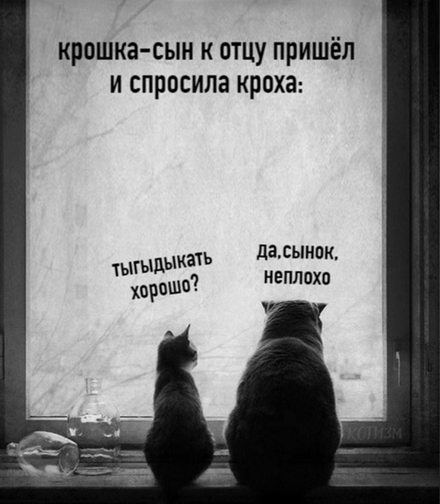 Картинки и мемы для настроения 18.10.2021