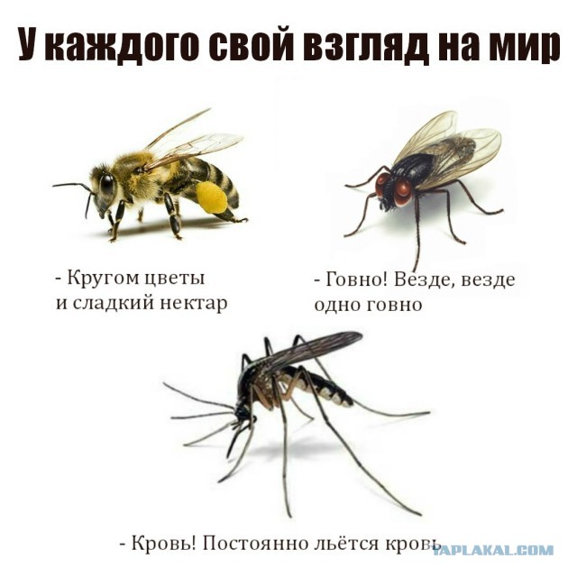 Что мне нравится в России