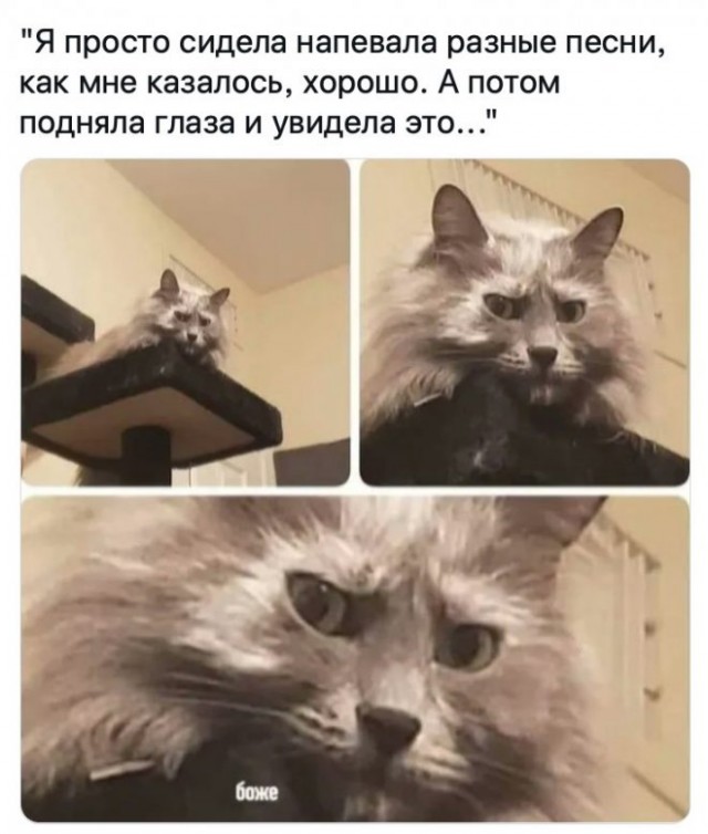 Картинки и мемы, всем прекрасных выходных