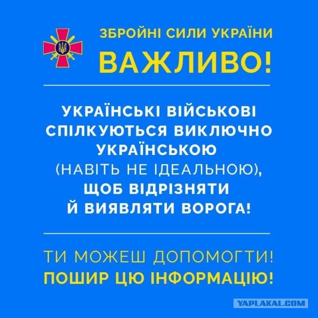 Поймали "диверсанта"