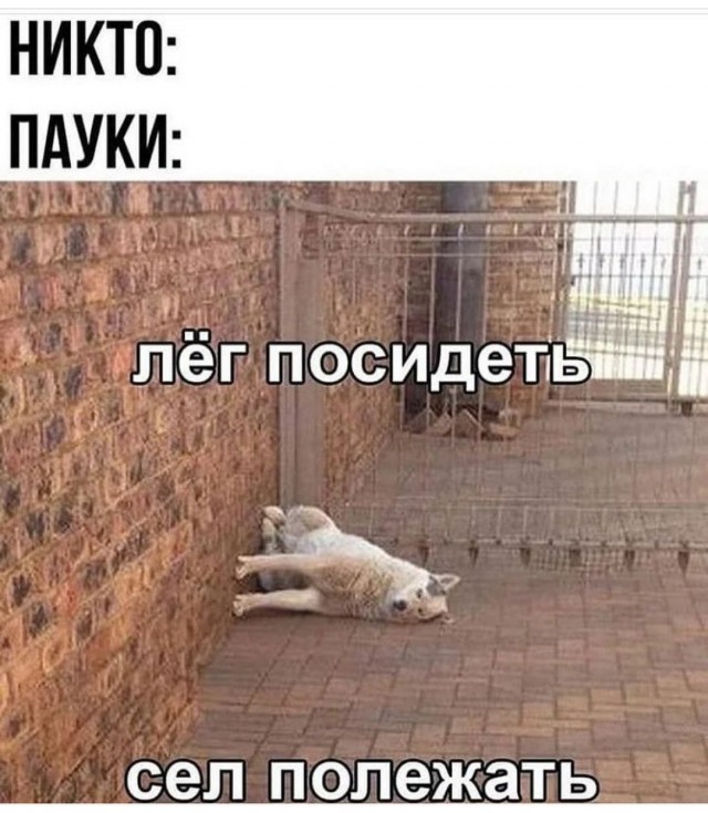 Пост картинок разных