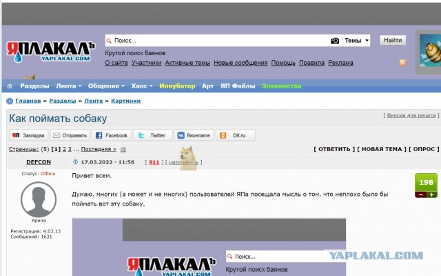 Как поймать собаку