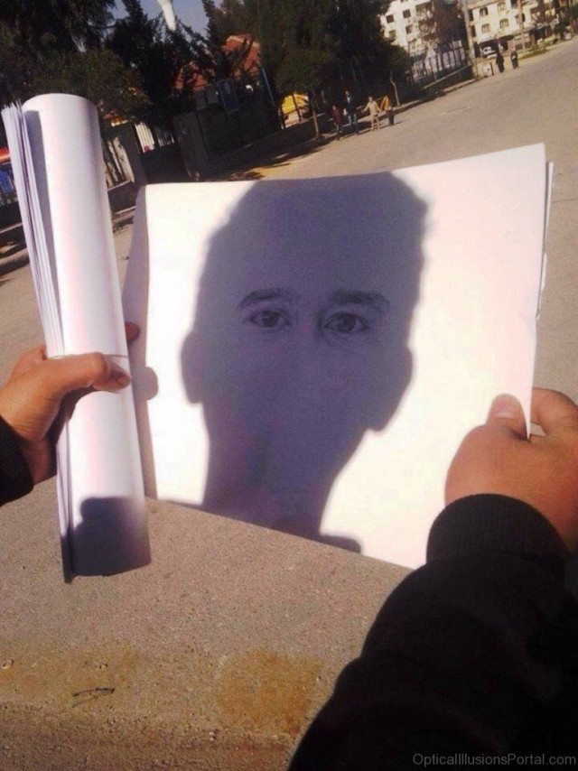 Это нужно развидеть: 14 забавных фото, которые обманут ваше зрение