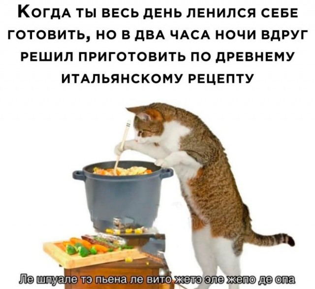 Картинки и мемы для настроения - 29