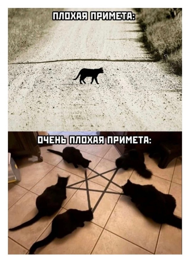 Так себе картинки 17.07.22