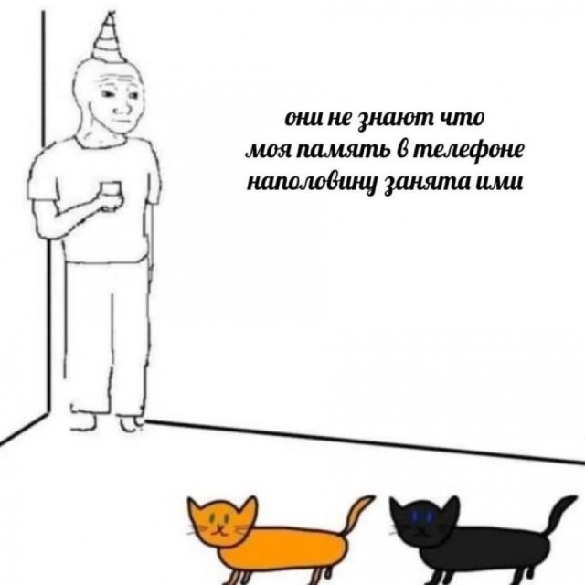 Так себе картинки 26.07.22