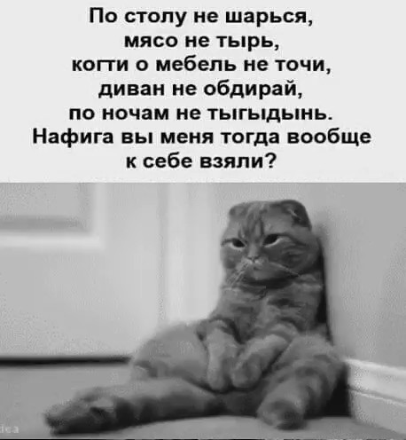 Юмор в картинках и без 16.02.2023