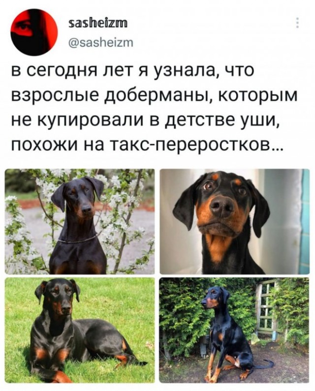 Немного картинок для настроения - 139
