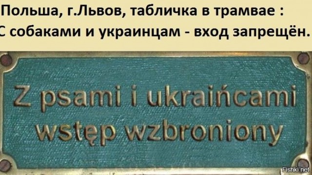 Поляки что-то поняли