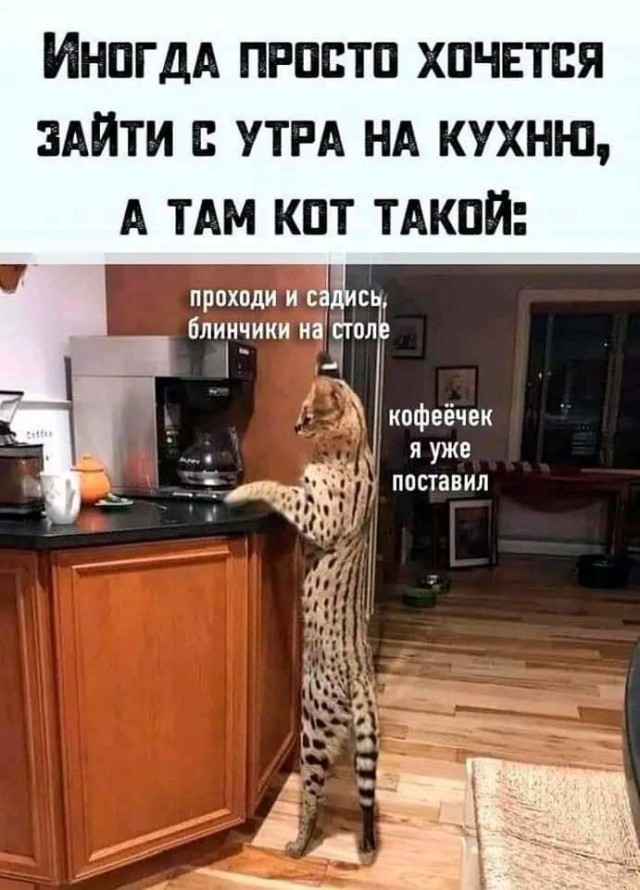 Подборка картинок 17.04.2023