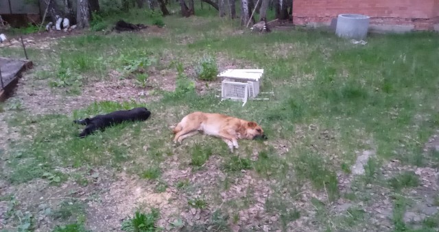 Ну наконец-то