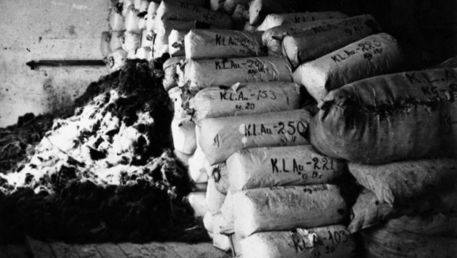 Профессия-комендант концлагеря.Лишенный моральных принципов, он не видел разницы между приказом убивать людей или валить деревья