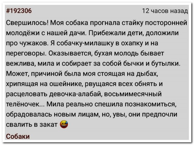 Забавные комментарии из социальных сетей (11.09.23)