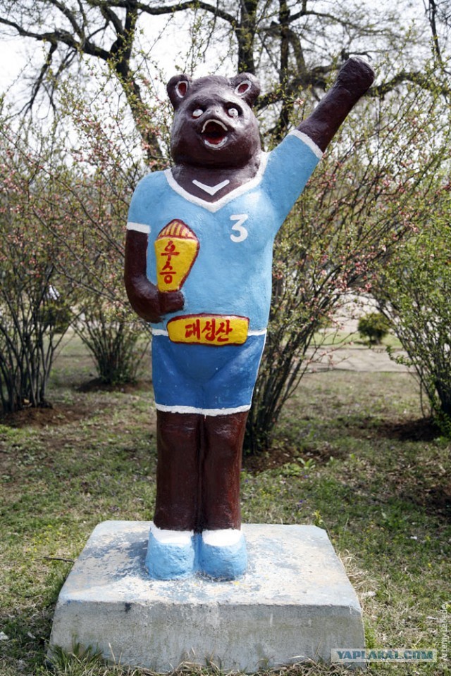 Родиться в Северной Корее