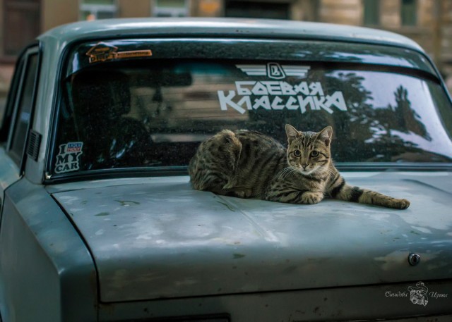 ФотоВинегрет