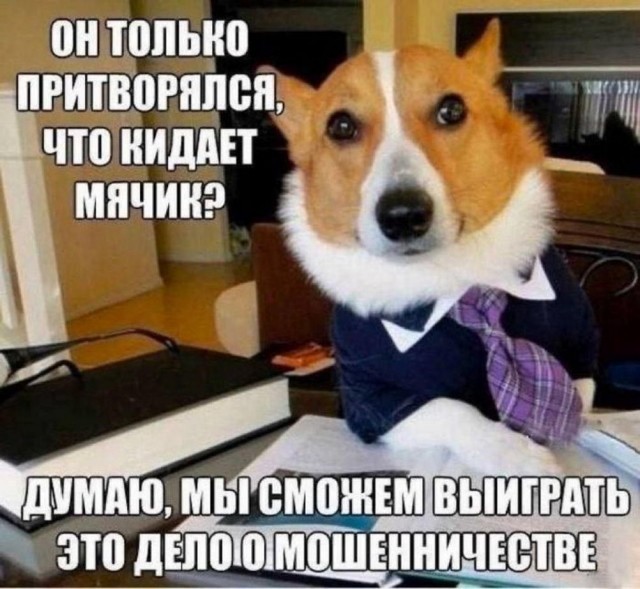 Нуштош 15.05.2024