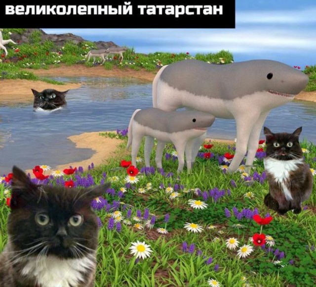 Никакие картинки