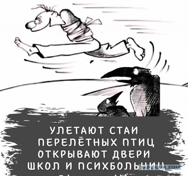 Осенние бояны