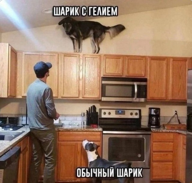 Завалялось тут случайно немного забавных картинок