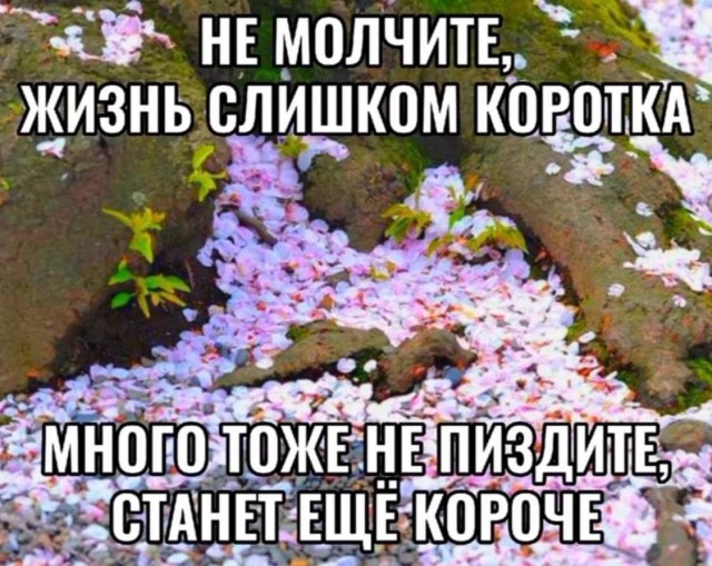 Всего понемногу. От 04.12.2024