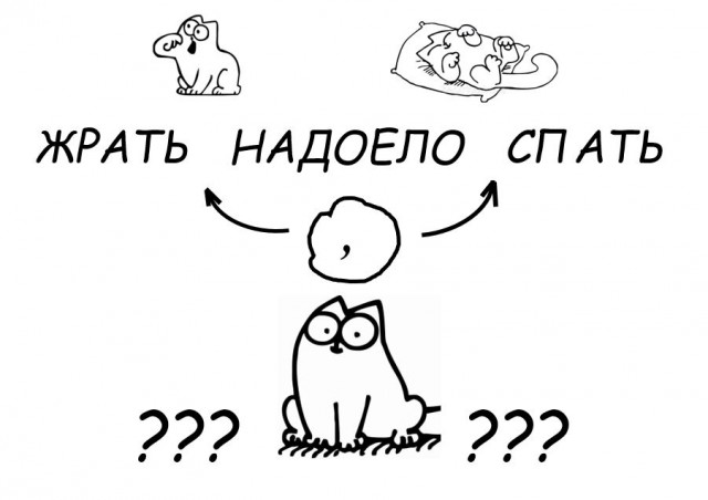 Так себе картинки 21.12.24