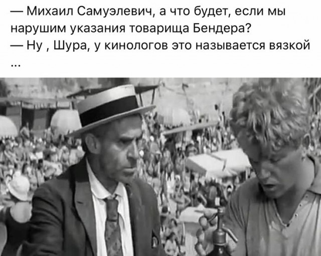Прикольные и просто красивые картинки 21.01.2025