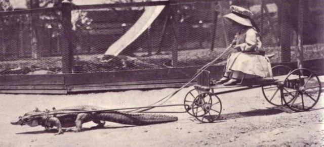 Лица, события, эпохи: редкие исторические фотографии, которые перенесут вас в другое время