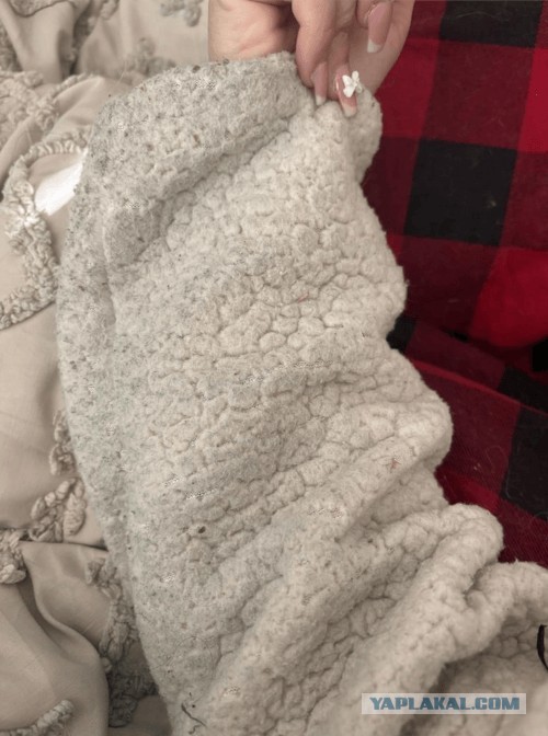 Муж попался на измене благодаря зелёным пятнам в спальне