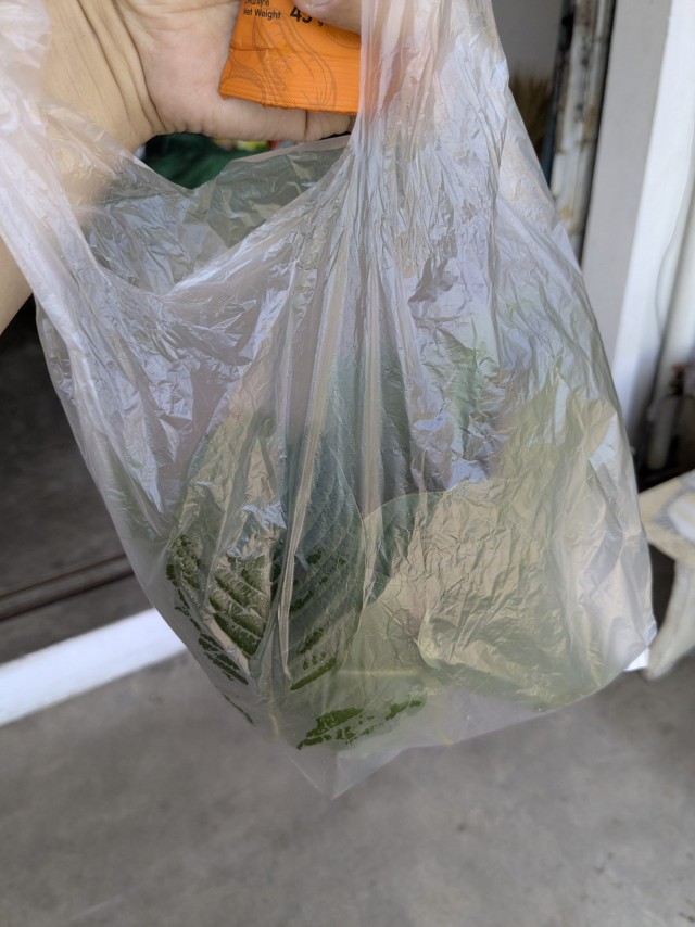 Бутан, таинственный Бутан