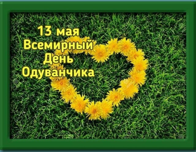 Прикольные и просто красивые картинки 13.05.2025