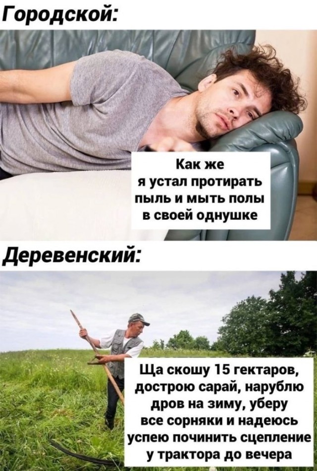 Весёлый полтишок 22.07.25