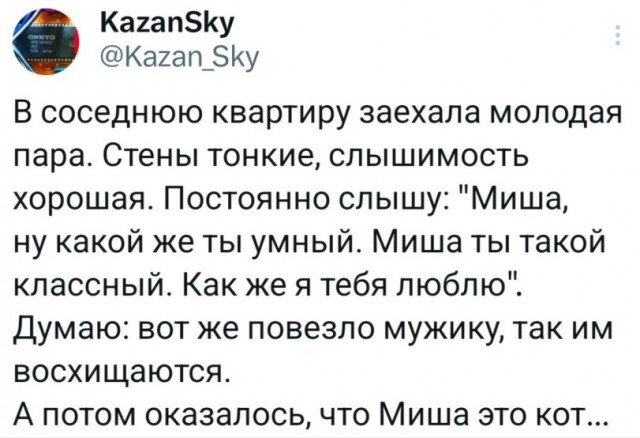 Миша