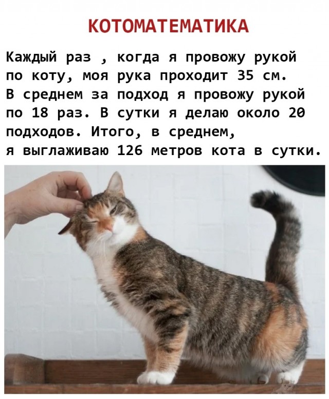 Так себе картинки 06.10.25