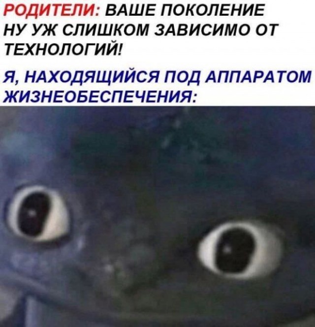 Веселые картинки в пятницу (03.02)