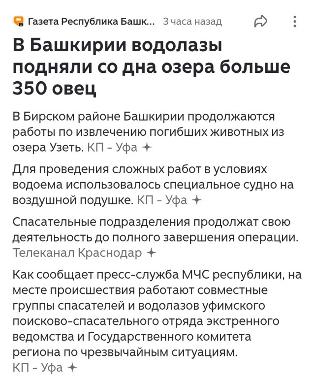 В Башкирии пастух решил перегнать 300 овец по льду, но он не выдержал: сотни животных ушли под воду