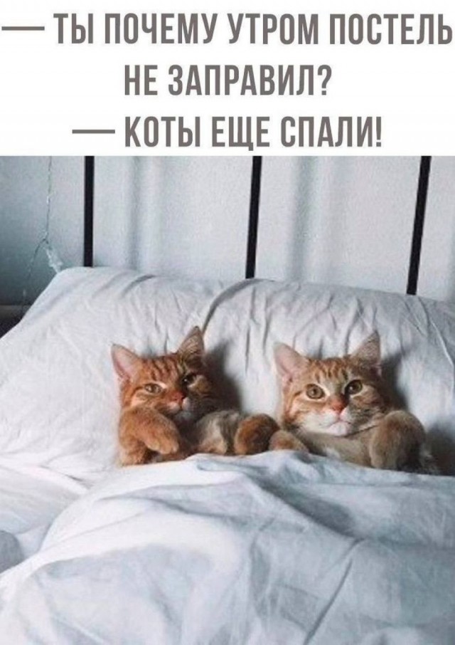 Понедельника картинки