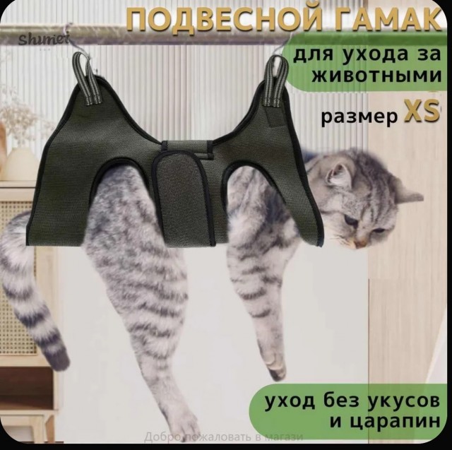 Как подстричь кошке ногти?