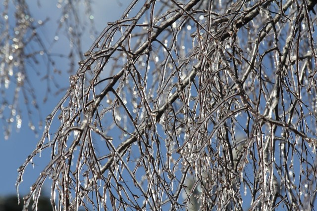 Ледяной дождь 03.05.24 (Лен.обл)