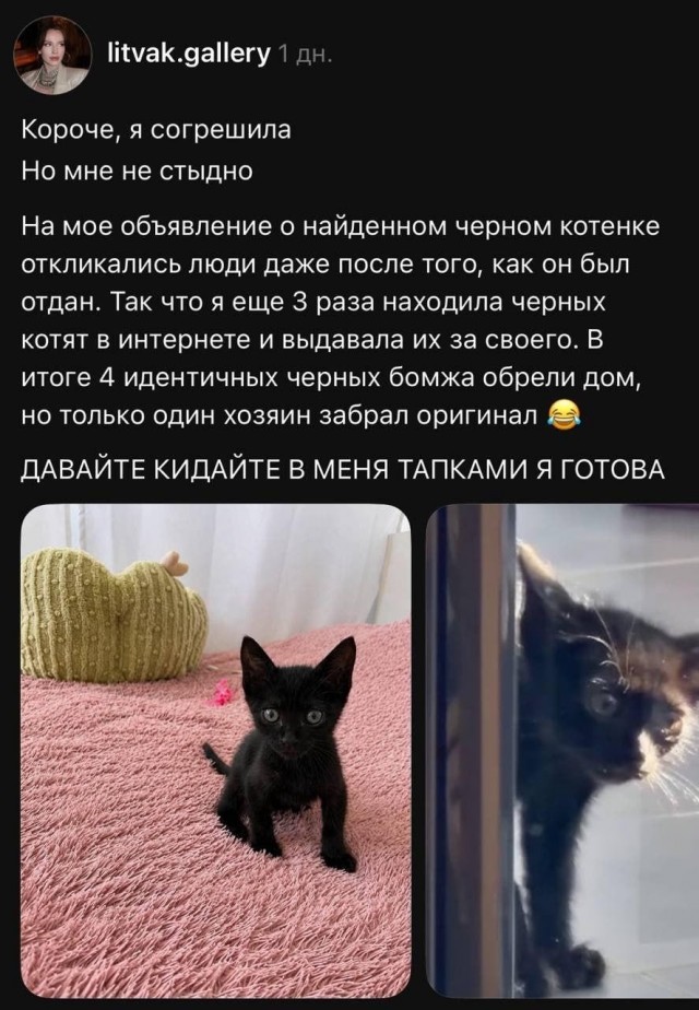 Так себе картинки 27.07.26