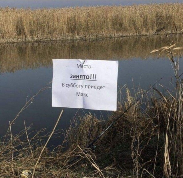 В задний проход любителя рыбалки забрался угорь длиной 65 сантиметров