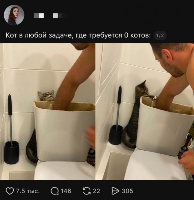Так себе картинки 29.07.26