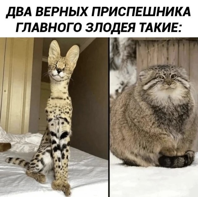 Так себе картинки 13.08.26