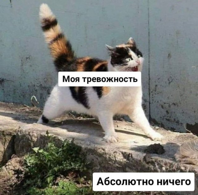 Психомемы-9