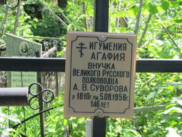 Шахматные задачи-двухходовки. Задачи 41-...
