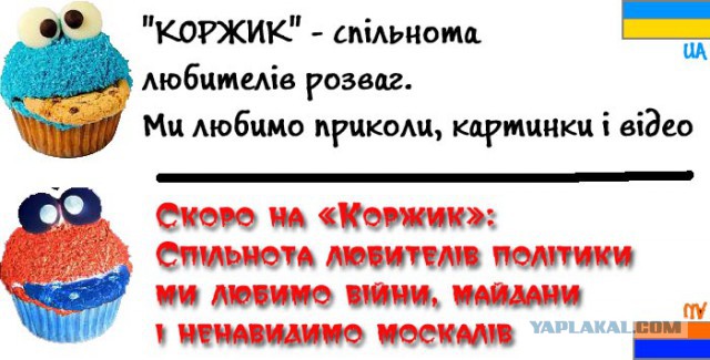 Веселье продолжается