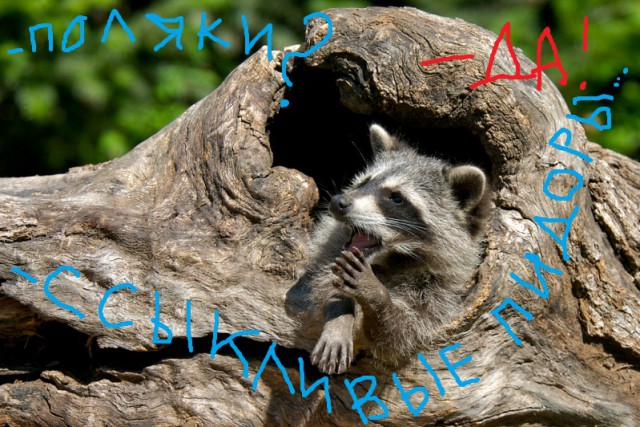 Хозяева прилетели