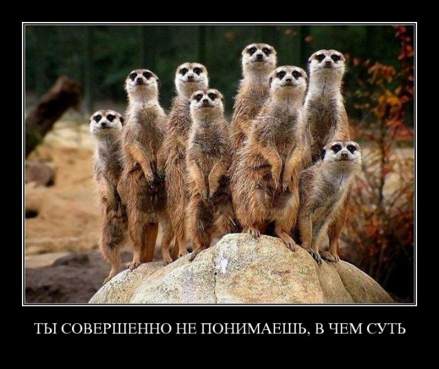 Смешные картинки